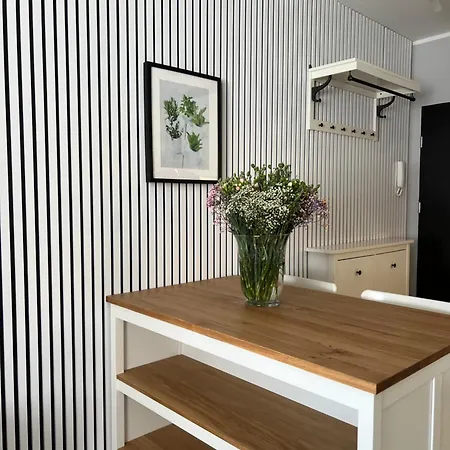 Apartament Rent 2 Płock