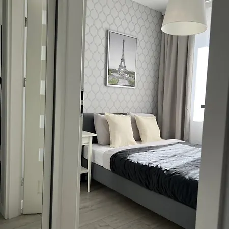 Rent 2 * Plock